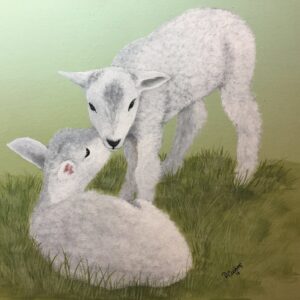 Little Lambs