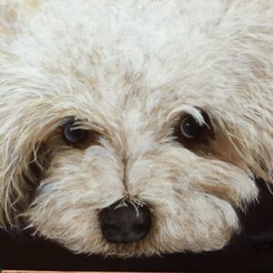 Pekoe