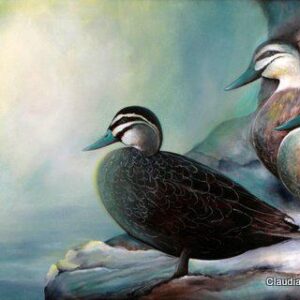 Duck Season