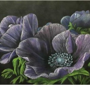 Anemones