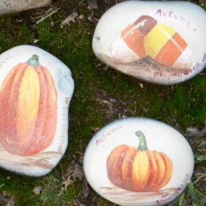 Autumn Rocks of Kindness