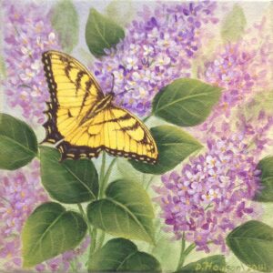 Butterfly & Lilacs
