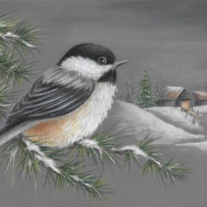 Chickadee Watch