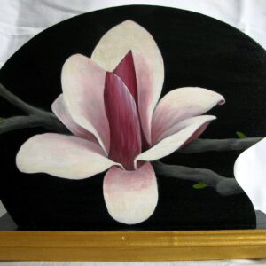 Japanese Magnolia