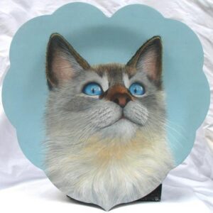 Luly Cat