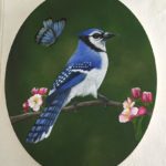 Mabel_Blue_Jay_1.jpg