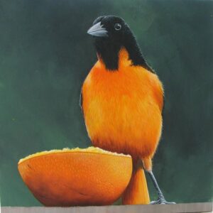 Oriole