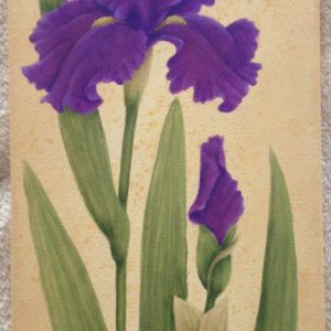 Purple Beauty