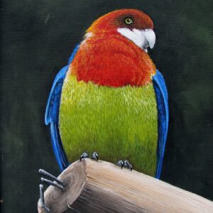 Parrot