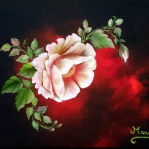 Peace Rose