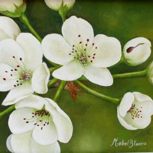 Plum's Flower