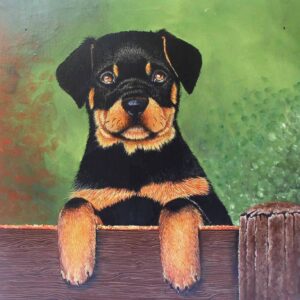 Rottweiler