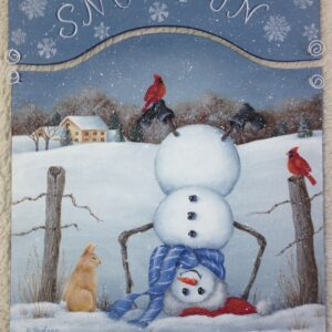 Snow Fun
