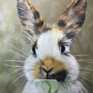 Sweet Bunny