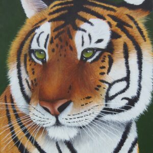 Tiger Profile