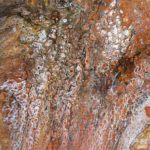 a_copyr_coral_IMG_1590.jpg