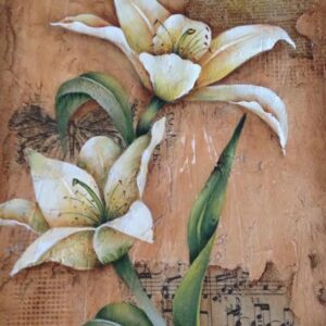 Believe Lilies