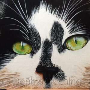 Splodge the Cat