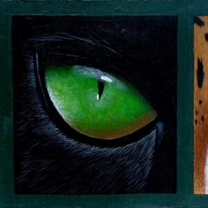 Eyes