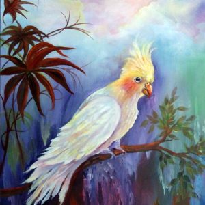 Gigi Cockatiel