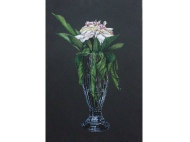 Glass Elegance