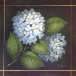 White Hydrangea
