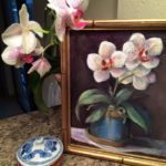 orchids marjorie