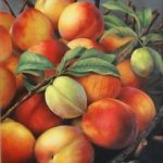 peaches.jpg