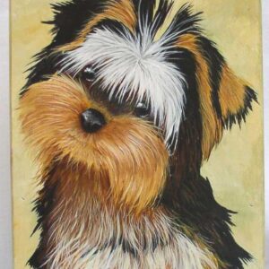 Yorky