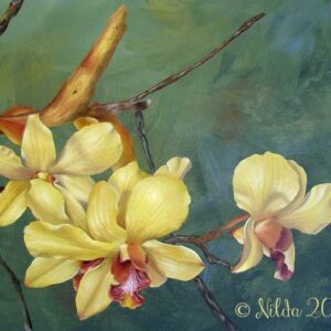 Juval's Yellow Orchids