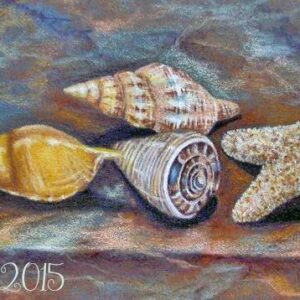 Jordi's Shells