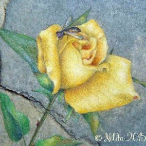 Yellow Rose Study