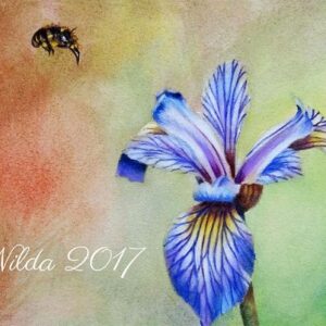 Celebrate Spring