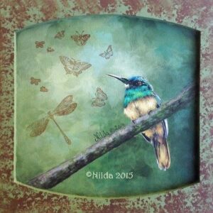 Nature's Winged Beauties