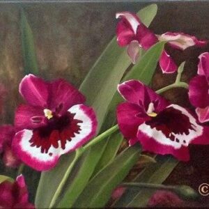 Sweet Miltonia Fragrance Online Class by Nilda