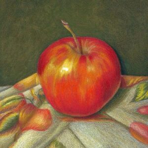 Multimedia Apple