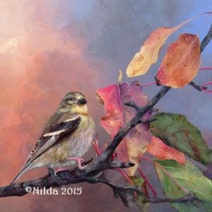 Autumn Comes Softly