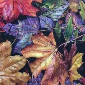 Falling into Autumn
