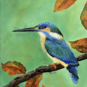 Kingfisher Box