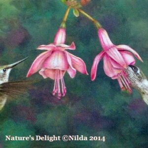 Nature's Delight