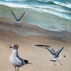 Seagulls by the Shore