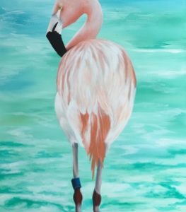 Flamingo
