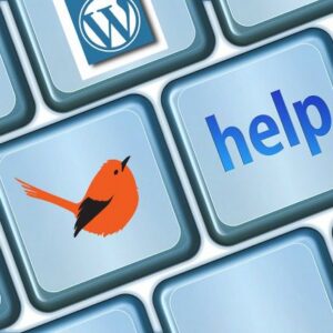 Wordpress Site Help