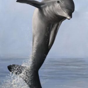Dolphin