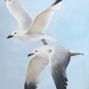 Seagulls in the Wind