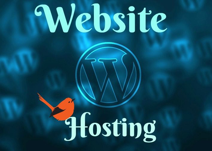 Website Hosting
