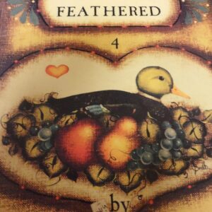 Something Feathered – Book 4