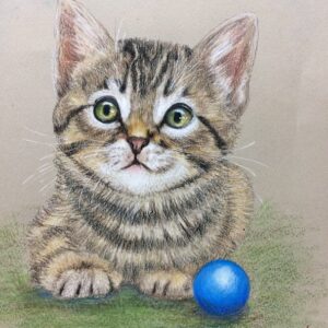 Love Kitty