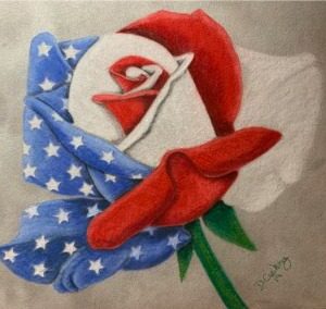 American Beauty in Colored Pencil