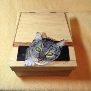 Cat in a Box
